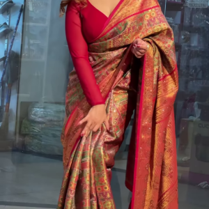 Vibrant Crimson Red Multi-Patterned Saree with Intricate Gold Zari and Geometric Motifs